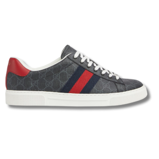 Gucci Gucci Ace sneaker with Web