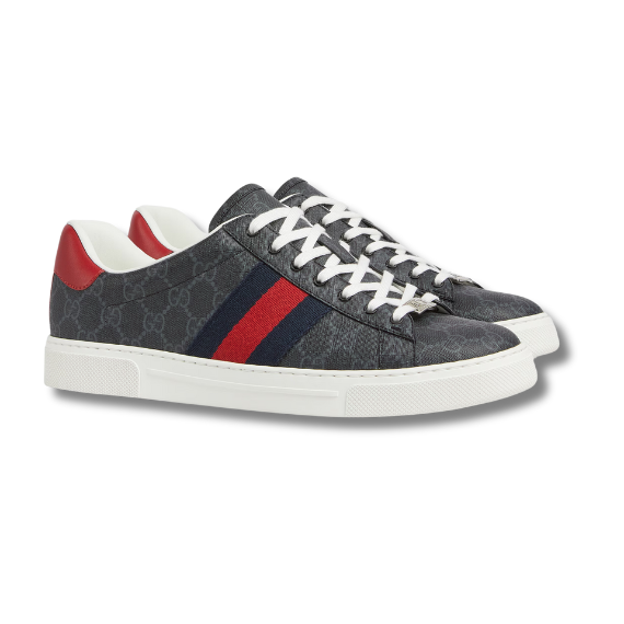 Gucci Gucci Ace sneaker with Web